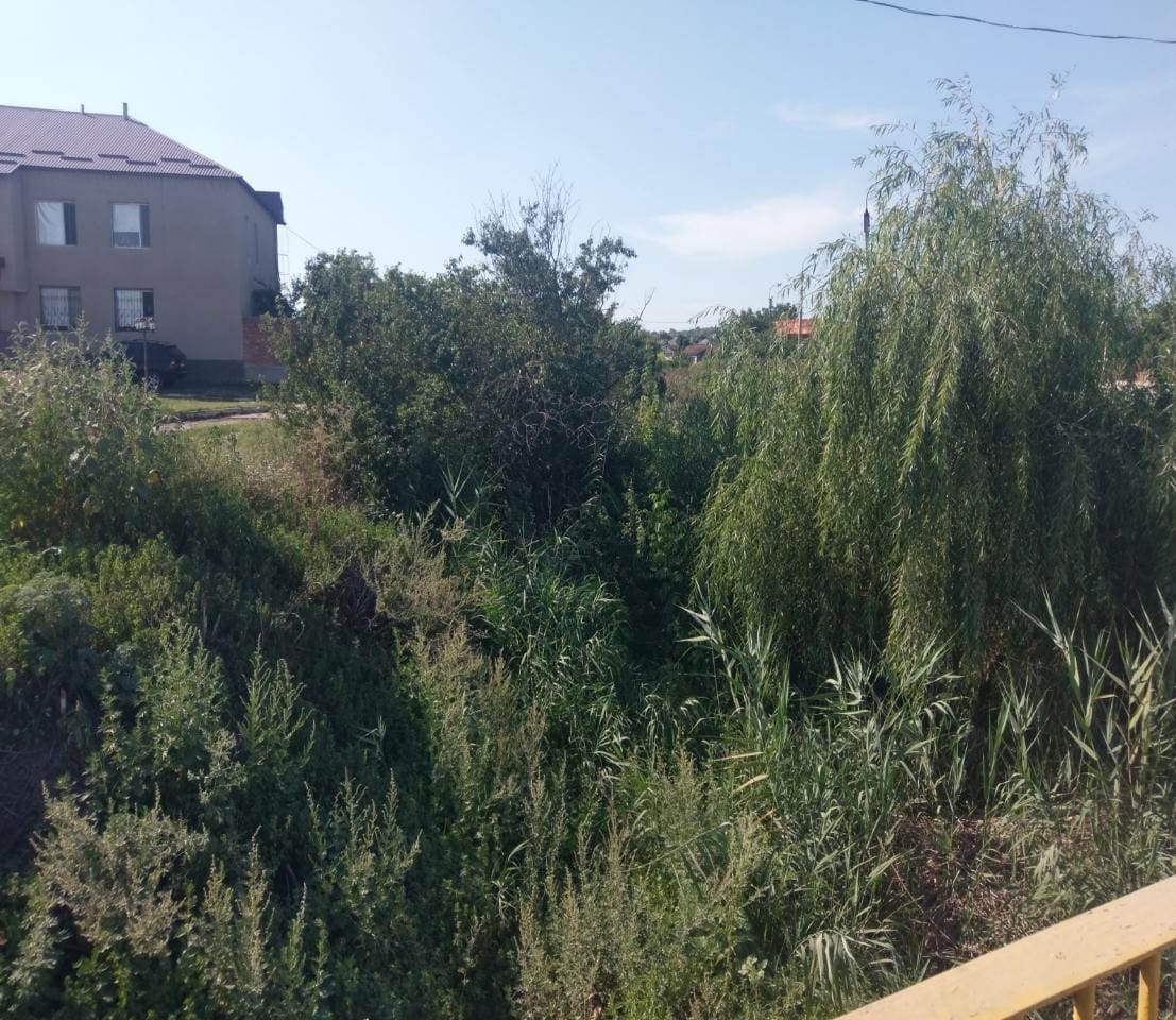AMENAJAREA SECTORULUI ALBIEI RÎULUI VOROCEI CU LUNGIMEA DE 0,30 KM DIN OR. CĂINARI R-NUL CĂUȘENI - Image 7